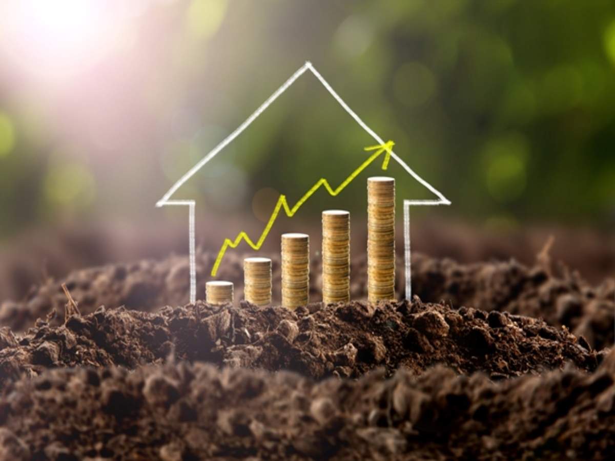 development-loans
